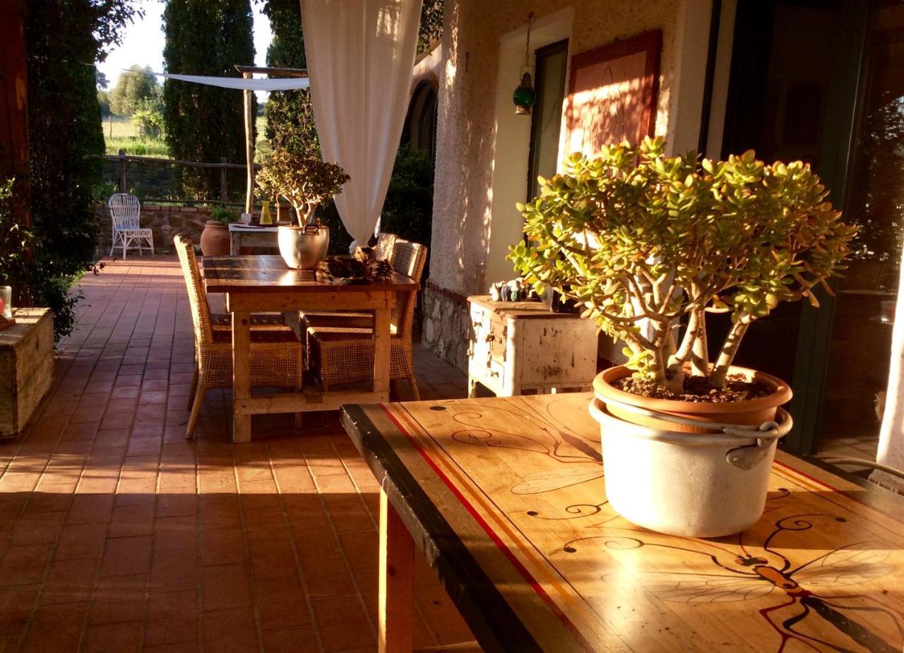 At Home In Maremma Istia d'Ombrone Exterior photo